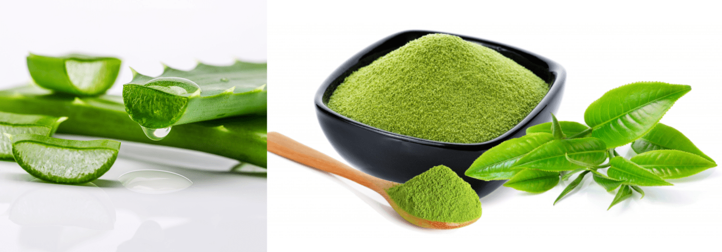 10 Green Tea Ice Cubes For Face DIY And Benefits Beauty Tips By Nim