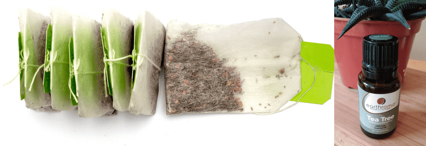 10 Green Tea Ice Cubes For Face DIY And Benefits Beauty Tips By Nim