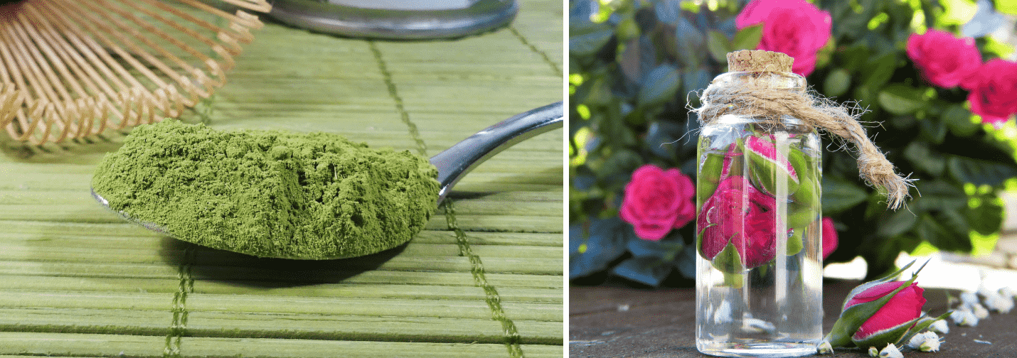 10 Green Tea Ice Cubes For Face DIY And Benefits Beauty Tips By Nim