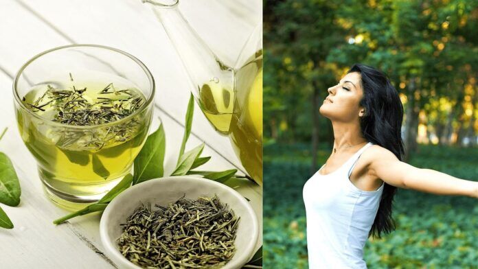 Green Tea Benefits, How to Make It and Risks - Beauty Tips By Nim - Nimisha Goyal - HashBUGS - BTN - Nimify Beauty - beautytipsbynim.com (2)